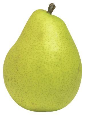 Pear Shaped Body Type